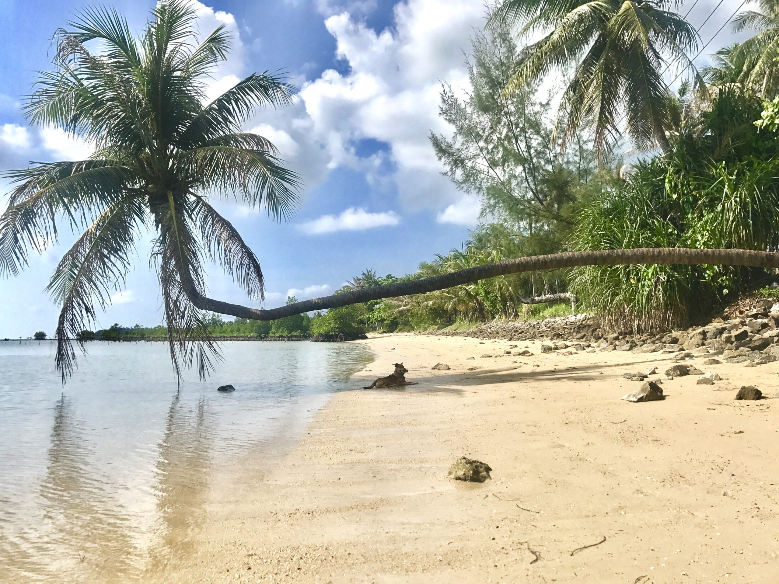 Der letze Abschnitt meines Abenteuers – Koh Phangan